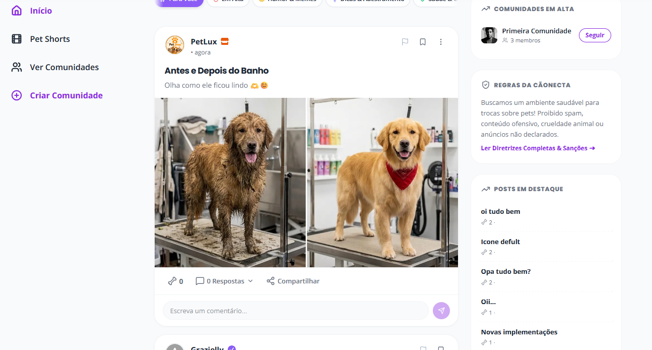 Post real no Cãonecta com antes e depois do banho e tosa